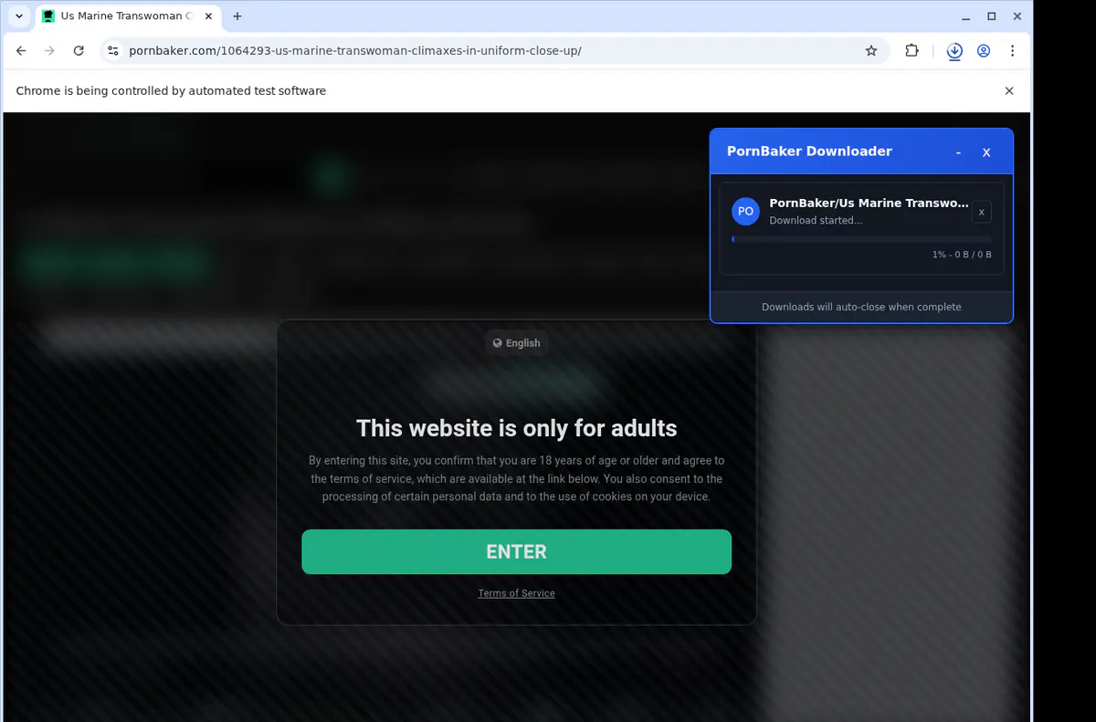 Pornbaker Video Downloader browser extension screenshot 2