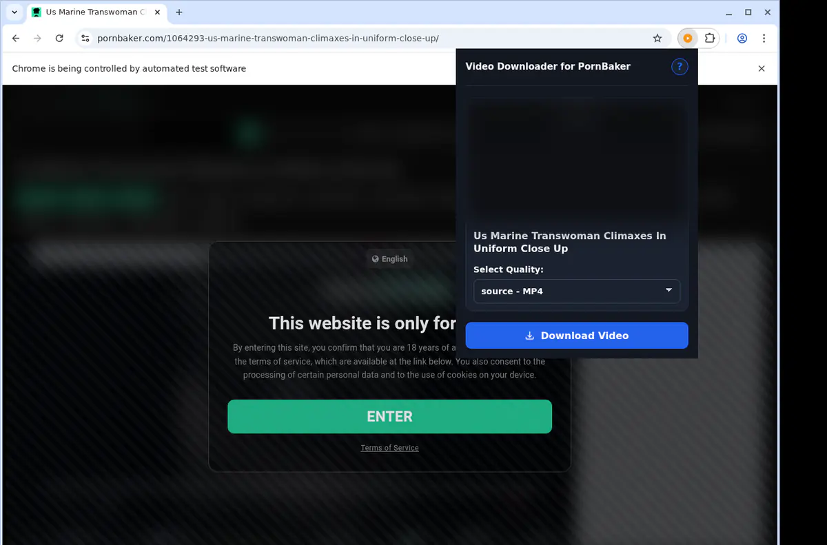 Pornbaker Video Downloader browser extension screenshot 3