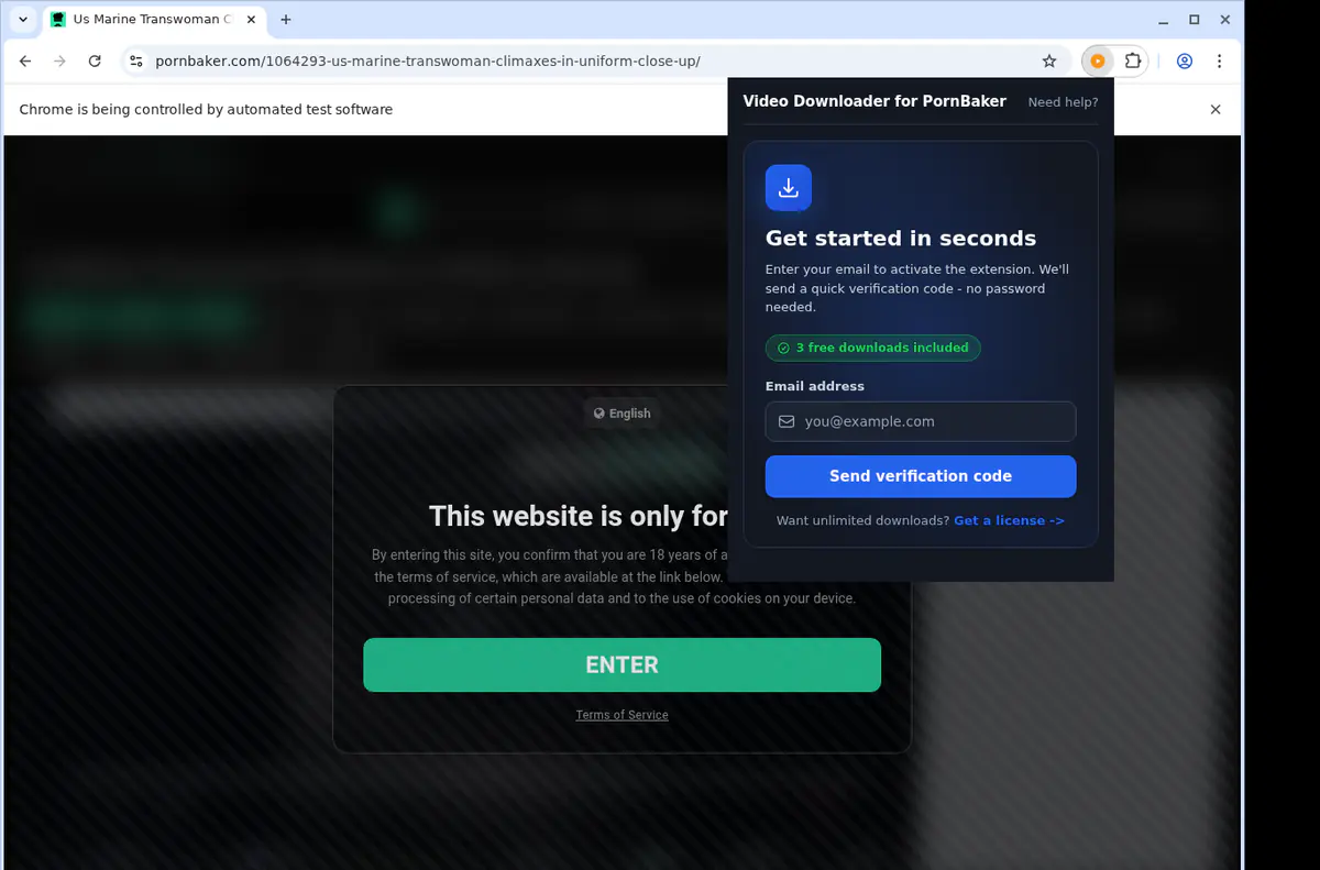 Pornbaker Video Downloader browser extension screenshot 5